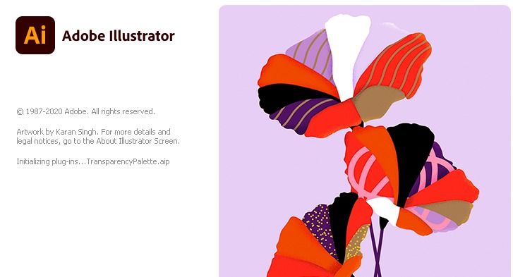 Adobe Illustrator Mastery Course
